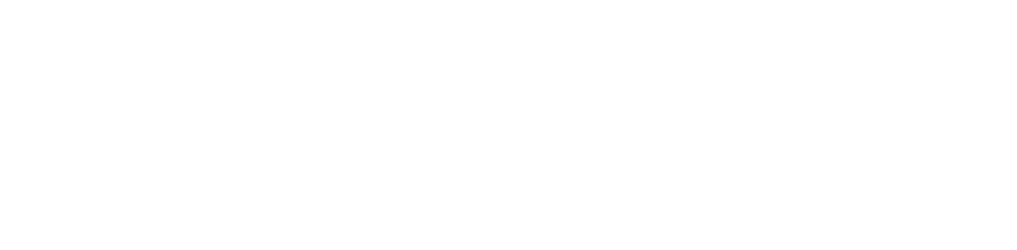 Shine Capital logo